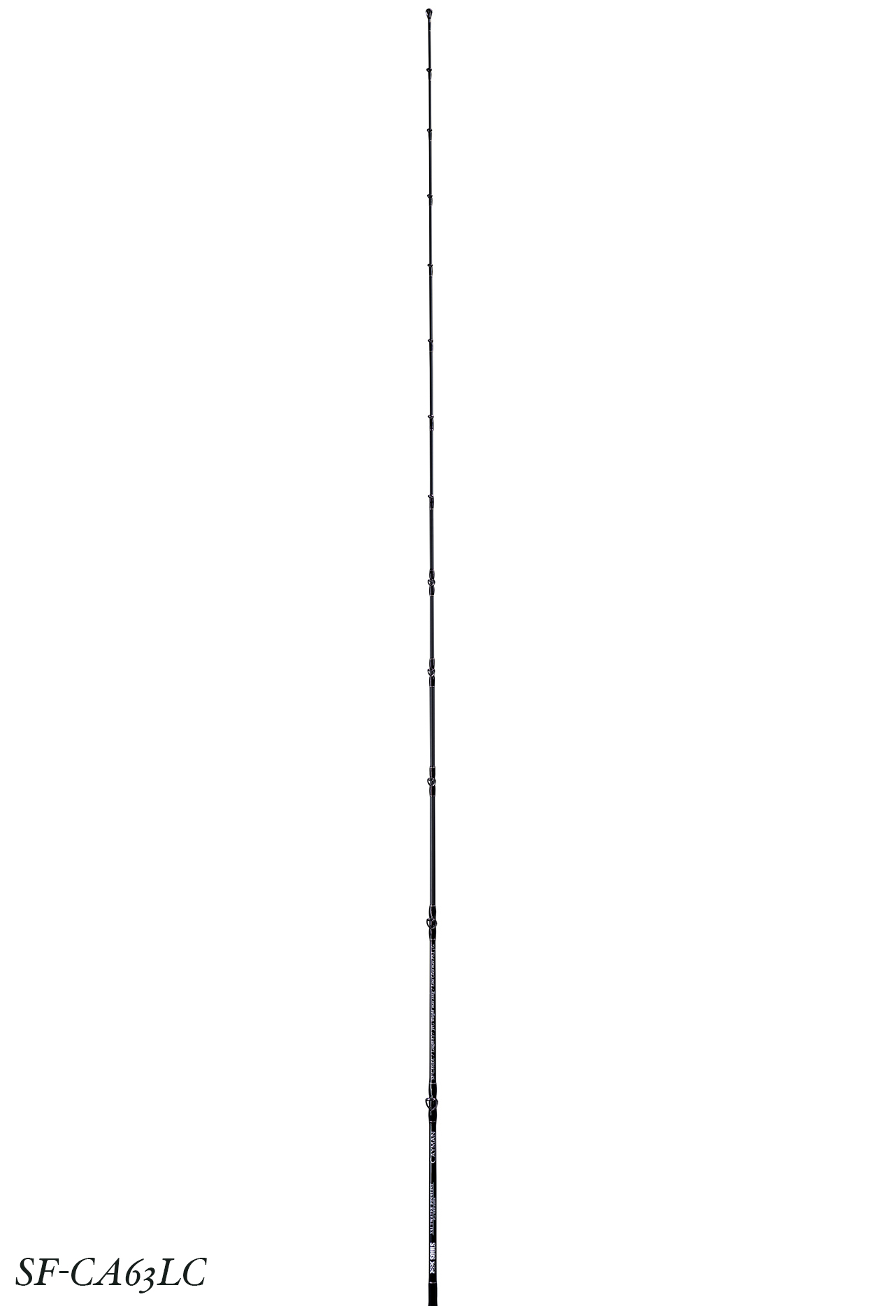 Fishing lure 2
